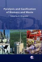 Pyrolysis And Gasification Of Biomass And Waste
