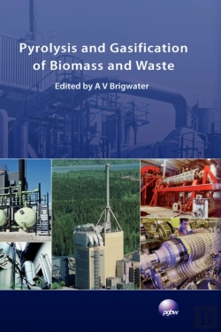 Bertrand.pt - Pyrolysis And Gasification Of Biomass And Waste