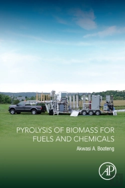 Bertrand.pt - Pyrolysis Of Biomass For Fuels And Chemicals
