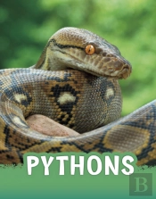 Pythons