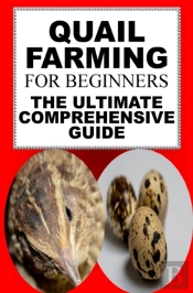 Quail Farming For Beginners