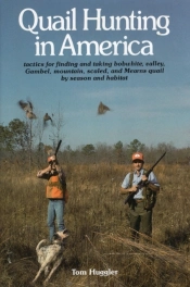 Quail Hunting In America