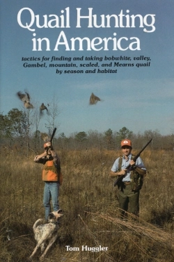 Bertrand.pt - Quail Hunting In America