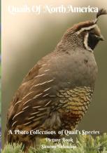 Quails Of North America A Photo Collections Of Quail'S Species Picture Book