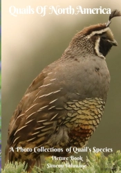 Quails Of North America A Photo Collections Of Quail'S Species Picture Book