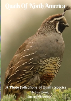 Bertrand.pt - Quails Of North America A Photo Collections Of Quail'S Species Picture Book