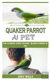 Quaker Parrot As Pet