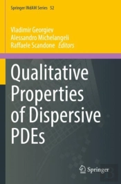 Qualitative Properties Of Dispersive Pdes