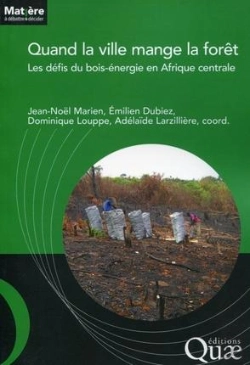Bertrand.pt - Quand La Ville Mange La Foret - Les Defis Du Bois-Energie En Afrique Centrale
