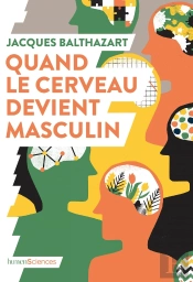 Quand Le Cerveau Devient Masculin