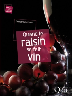 Bertrand.pt - Quand Le Raisin Se Fait Vin