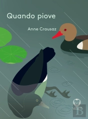 Quando Piove