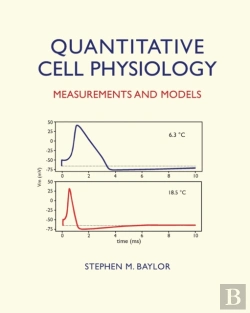 Bertrand.pt - Quantitative Cell Physiology