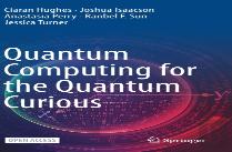 Quantum Computing For The Quantum Curious