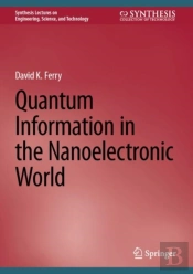 Quantum Information In The Nanoelectronic World