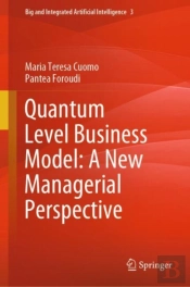 Quantum Level Business Model: A New Managerial Perspective