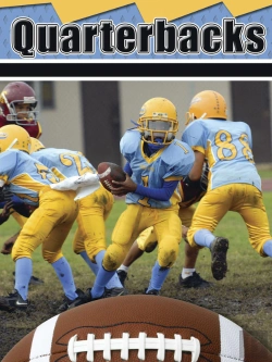 Bertrand.pt - Quarterbacks