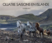 Quatre Saisons En Islande