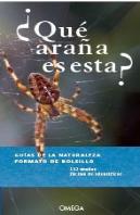 ¿Que Araña Es Esta?