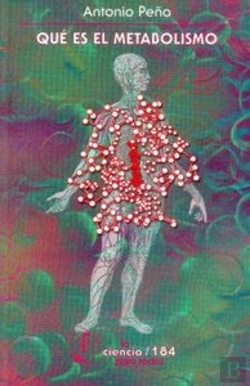 Bertrand.pt - Que Es El Metabolismo  