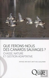 Que Ferons-Nous Des Canards Sauvages ? Chasse, Nature Et Gestion Adptative