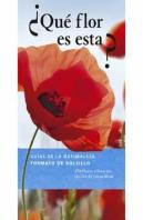 ¿Qué Flor Es Esta?
