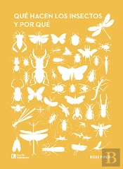 Que Hacen Los Insectos Y Por Que