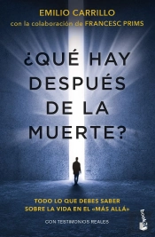 ¿Que Hay Despues De La Muerte?
