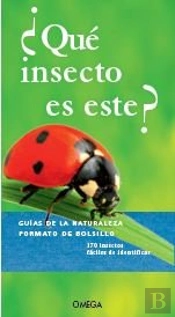 ¿Que Insecto Es Este?