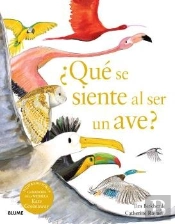 Que Se Siente Al Ser Un Ave