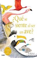 Que Se Siente Al Ser Un Ave