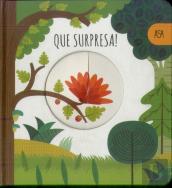 Que Surpresa!