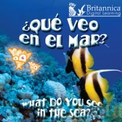 ?Que Veo En El Mar? (What Do You See, In The Sea?)