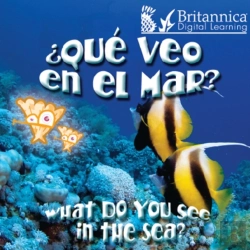 Bertrand.pt - ?Que Veo En El Mar? (What Do You See, In The Sea?)