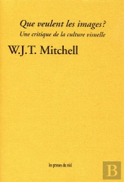 Que Veulent Les Images ? Une Critique De La Culture Visuelle