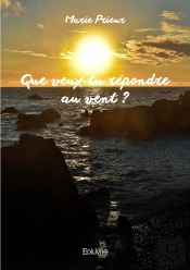 Que Veux-Tu Répondre Au Vent ?