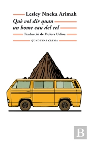 Què Vol Dir Quan Un Home Cau Del Cel