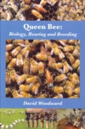 Queen Bee