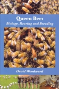 Bertrand.pt - Queen Bee