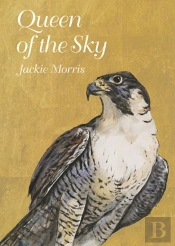 Queen Of The Sky