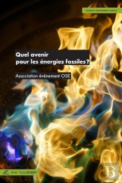 Quel Avenir Pour Les Énergies Fossiles ?