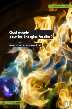Bertrand.pt - Quel Avenir Pour Les Énergies Fossiles ?