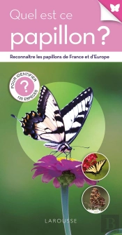 Quel Est Ce Papillon ?