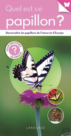 Bertrand.pt - Quel Est Ce Papillon ?