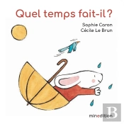 Quel Temps Fait-Il ?