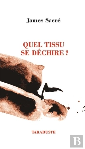 Quel Tissu Se Dechire ? - James Sacre
