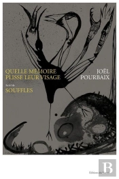 Quelle Memoire Plisse Leur Visage