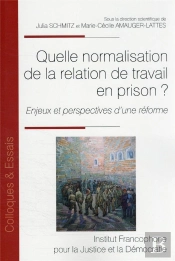 Quelle Normalisation De La Relation De Travail En Prison ? - Enjeux Et Perspectives D Une Reforme
