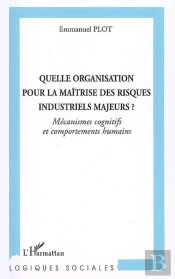 Quelle Organisation Pour La Maitrise Des Risques Industriels