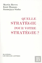 Quelle Stratégie Pour Votre Stratégie ?